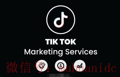 tiktok账号购买平台