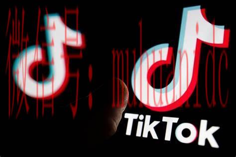 tiktok账号购买平台