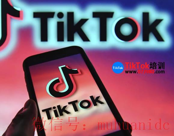 tiktok账号购买平台
