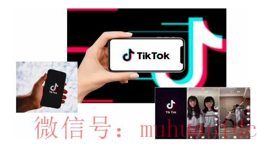 tiktok账号购买平台