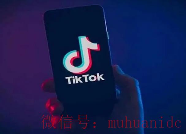 tiktok账号购买平台