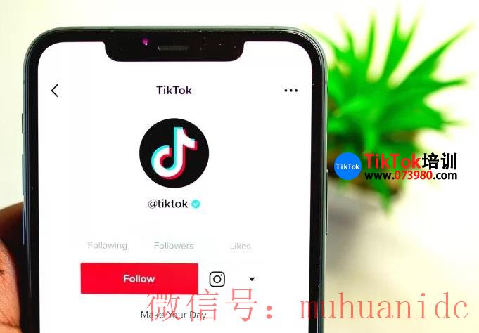 tiktok账号购买平台