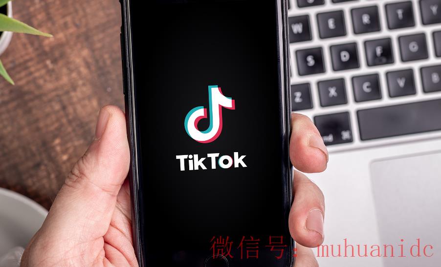 tiktok账号购买平台