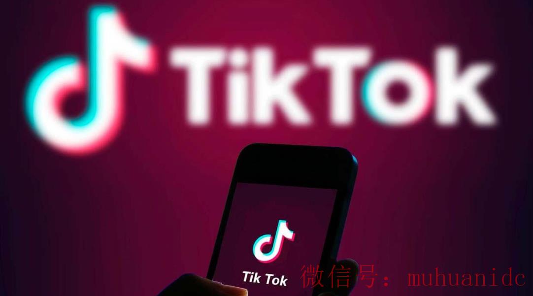 tiktok账号购买平台
