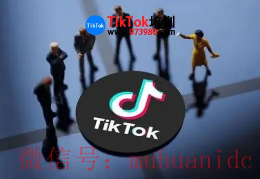 tiktok账号购买平台