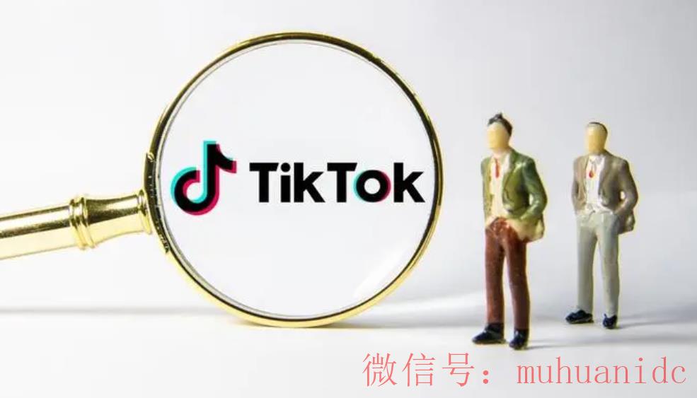 tiktok账号购买平台