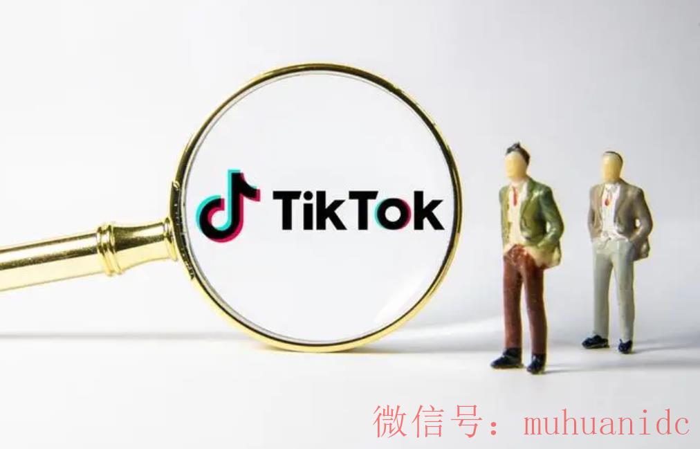 tiktok账号购买平台