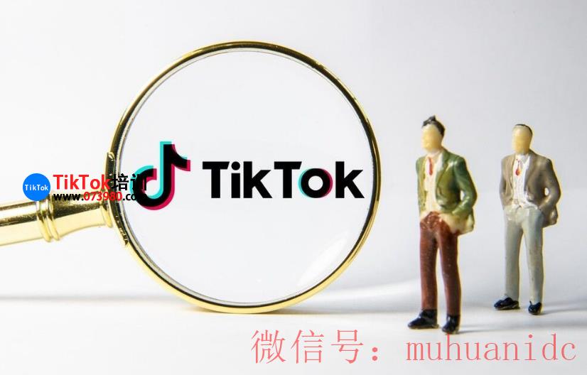 tiktok账号购买平台