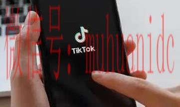 tiktok账号购买平台
