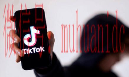 tiktok账号购买平台