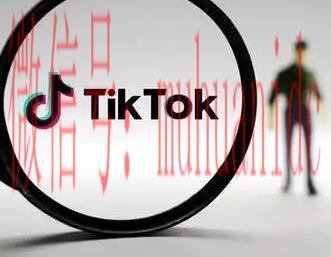 tiktok账号购买平台