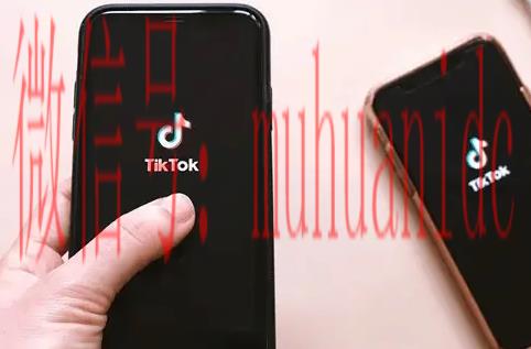 tiktok账号购买平台
