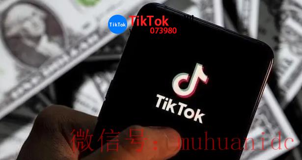 tiktok账号购买平台