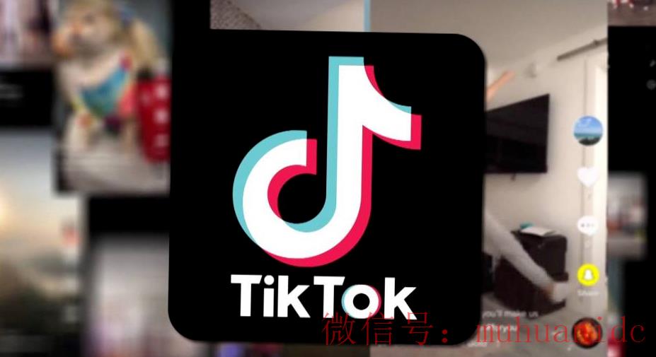 tiktok账号购买平台