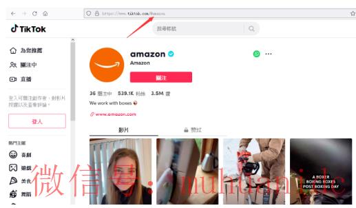 tiktok账号购买平台