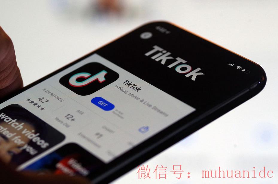 tiktok账号购买平台