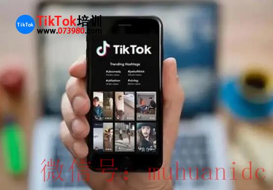 tiktok账号购买平台