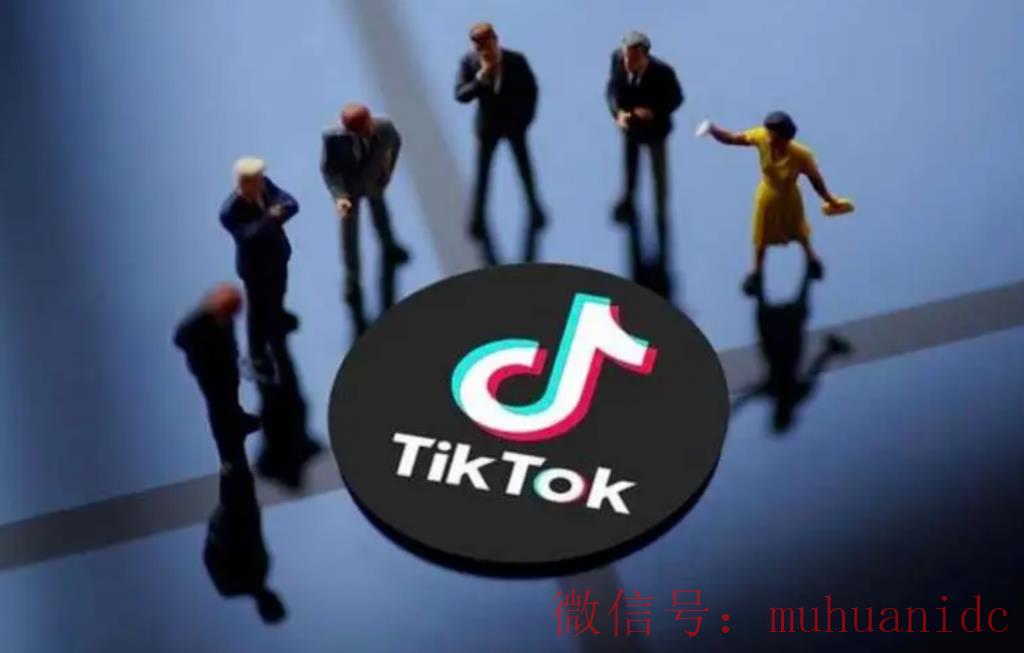 tiktok账号购买平台