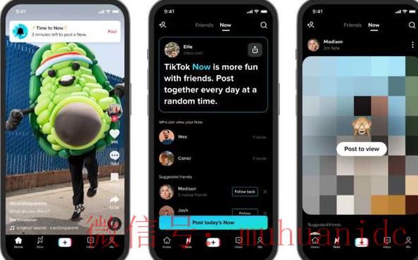 tiktok账号购买平台