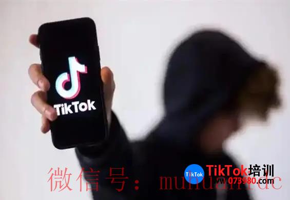 tiktok账号购买平台