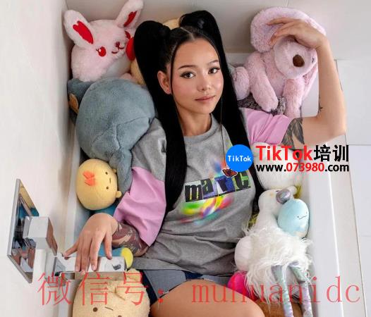 tiktok账号购买平台