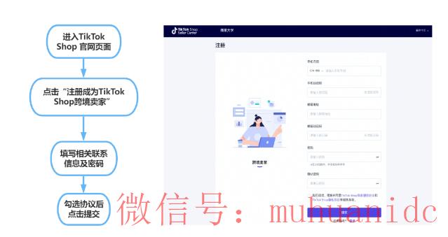 tiktok账号购买平台