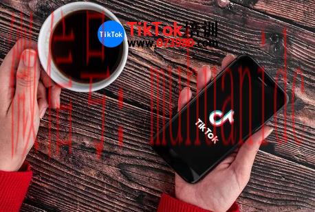 tiktok账号购买平台