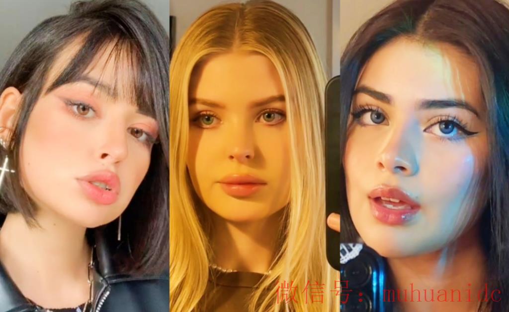 tiktok账号购买平台