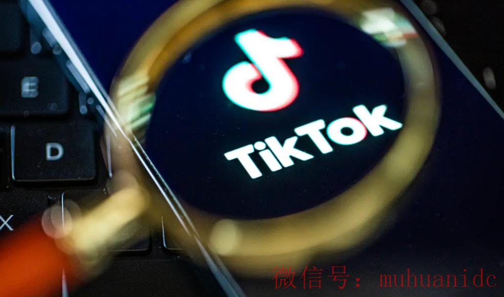 tiktok账号购买平台