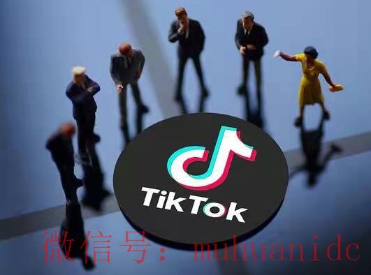 tiktok账号购买平台