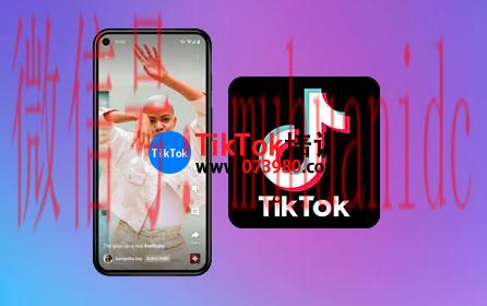 tiktok账号购买平台