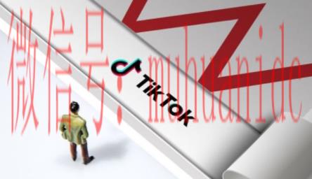 tiktok账号购买平台