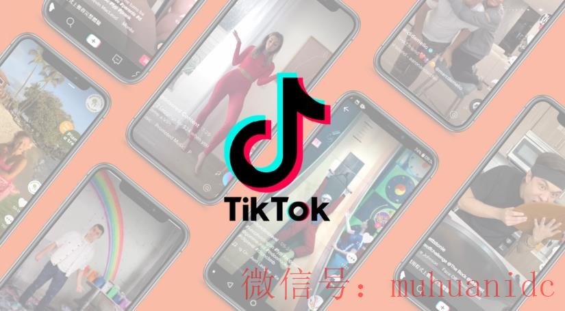 tiktok账号购买平台
