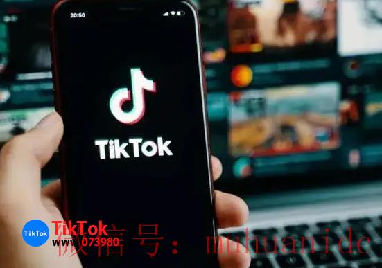 tiktok账号购买平台