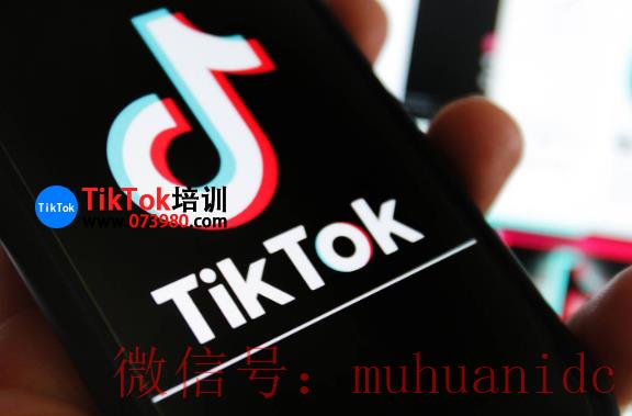 tiktok账号购买平台