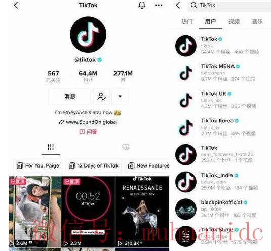 tiktok账号购买平台