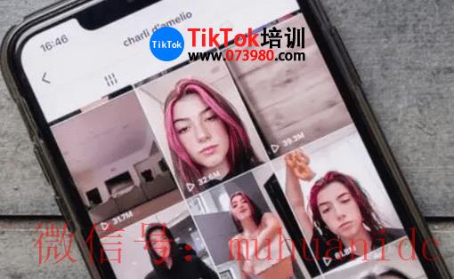 tiktok账号购买平台