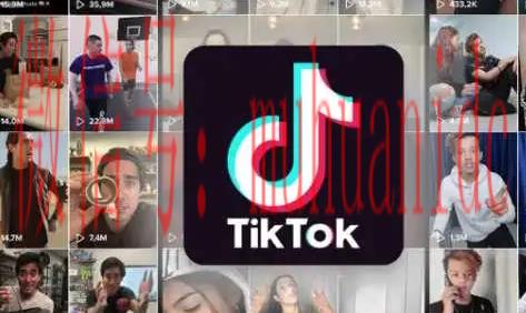tiktok账号购买平台