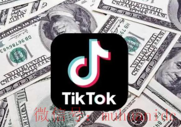 tiktok账号购买平台