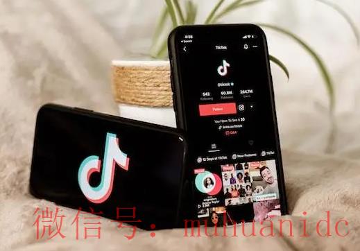 tiktok账号购买平台