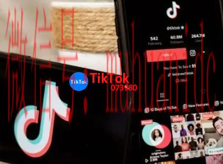 tiktok账号购买平台