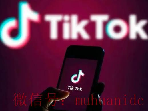 tiktok账号购买平台