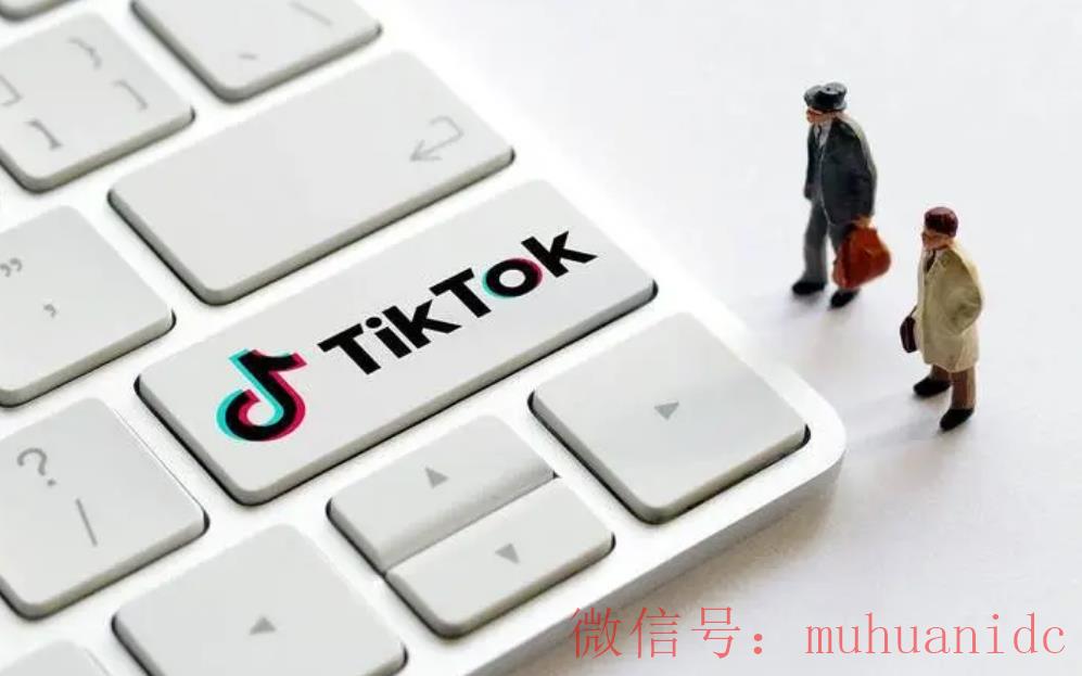 tiktok账号购买平台
