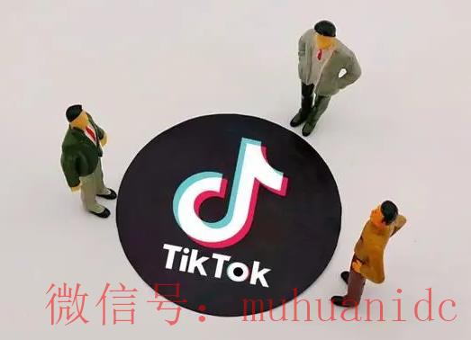 tiktok账号购买平台