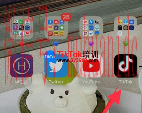 tiktok账号购买平台