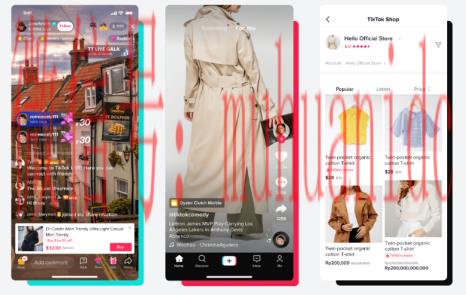 tiktok账号购买平台