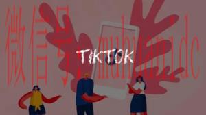 tiktok账号购买平台