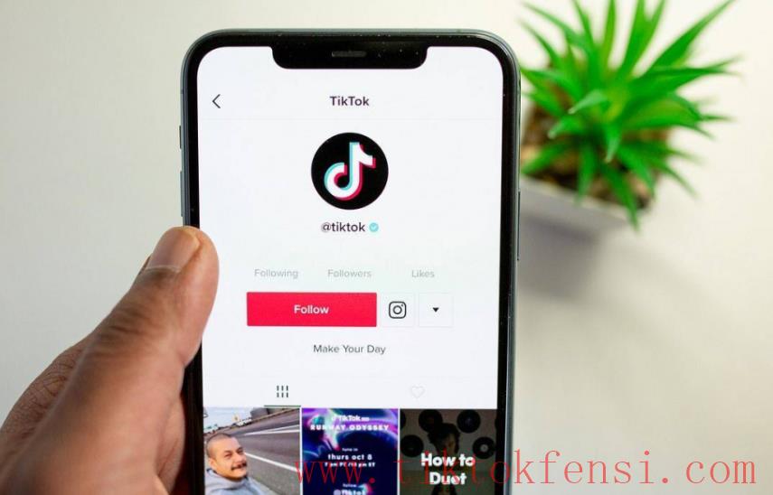 tiktok账号购买平台