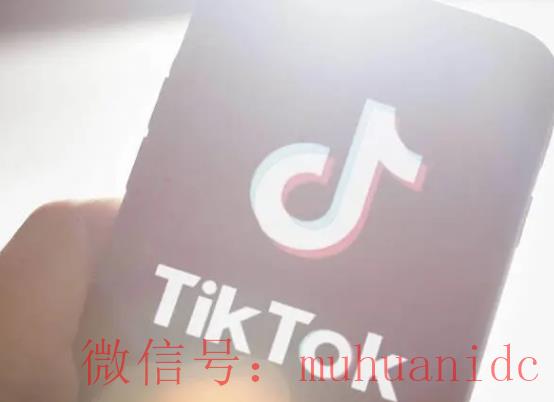 tiktok账号购买平台