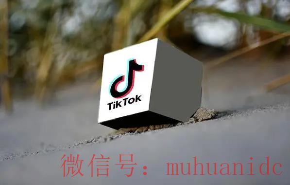tiktok账号购买平台